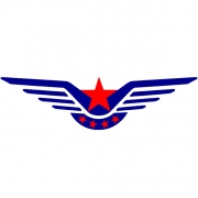 维修电子执照